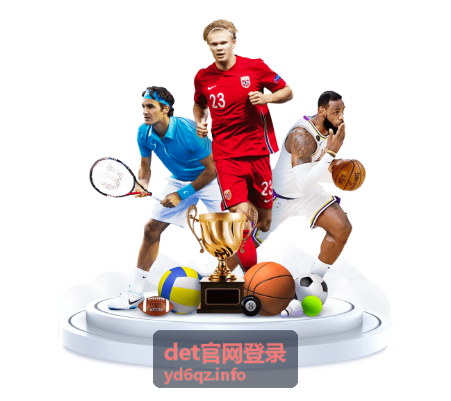 det官网登录账号安全设置